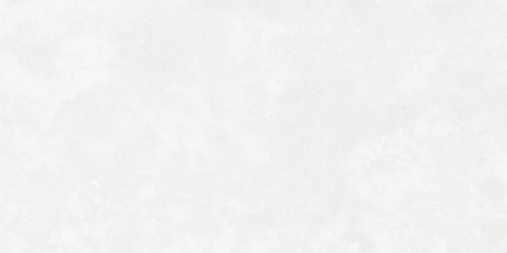 Керамогранит Central Park (Централ Парк) 600*1200 белый K-701/MR — купить в Воронеже