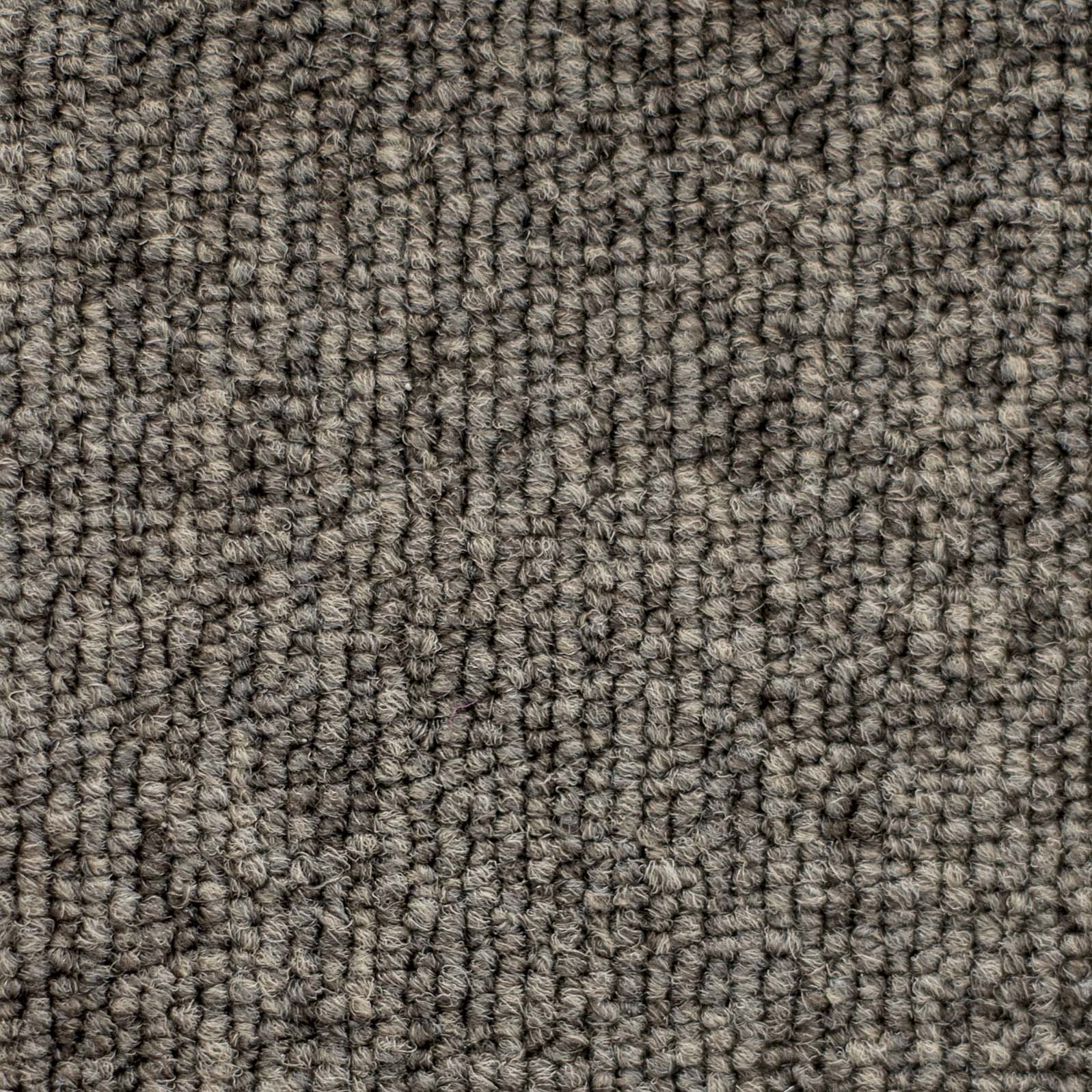 Ковролин "Зартекс" Daily 68 коричневый (4м) — купить в Воронеже