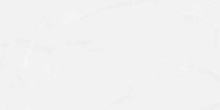 Керамогранит "Wan Sheng" Glazed (1200*600 мм) Серый D12617 — купить в Воронеже