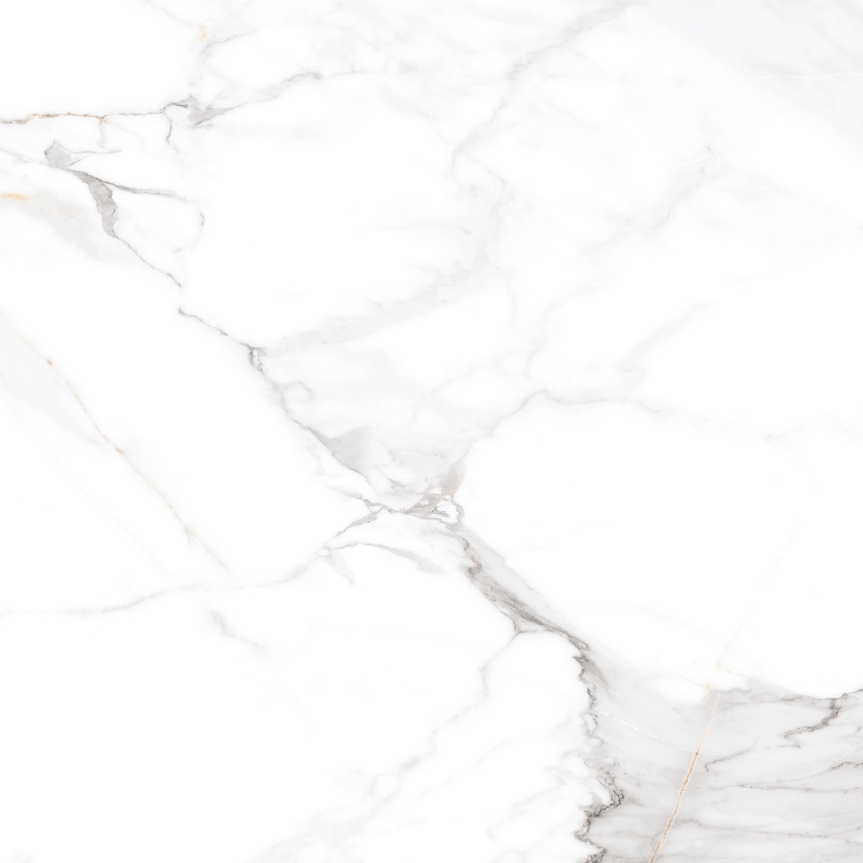 Керамогранит "Eternal" Calacatta (600*600 мм) Белый — купить в Воронеже