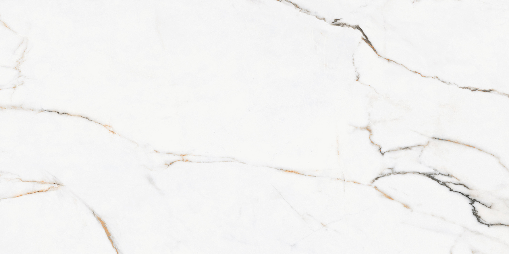 Керамогранит "Pamesa Ceramica" Torano M (1200*600 мм) Белый — купить в Воронеже